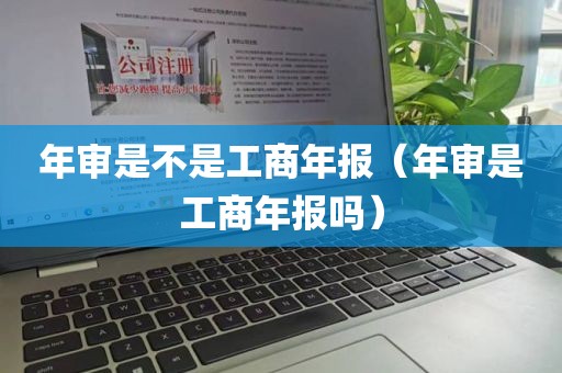 年审是不是工商年报（年审是工商年报吗）