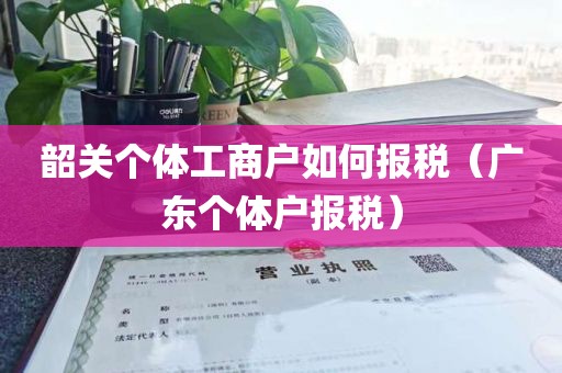 韶关个体工商户如何报税（广东个体户报税）