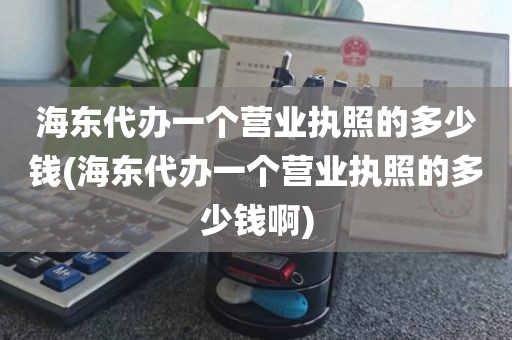 海东代办一个营业执照的多少钱(海东代办一个营业执照的多少钱啊)