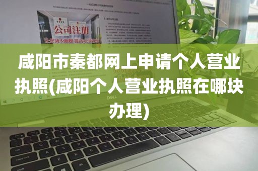 咸阳市秦都网上申请个人营业执照(咸阳个人营业执照在哪块办理)
