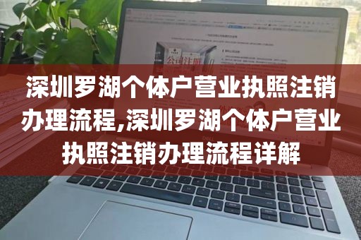 深圳罗湖个体户营业执照注销办理流程,深圳罗湖个体户营业执照注销办理流程详解