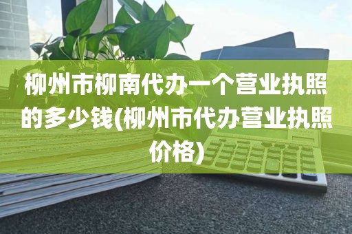 柳州市柳南代办一个营业执照的多少钱(柳州市代办营业执照价格)