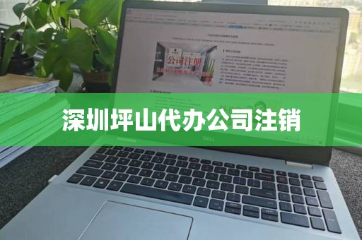 深圳坪山代办公司注销