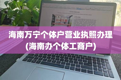 海南万宁个体户营业执照办理(海南办个体工商户)