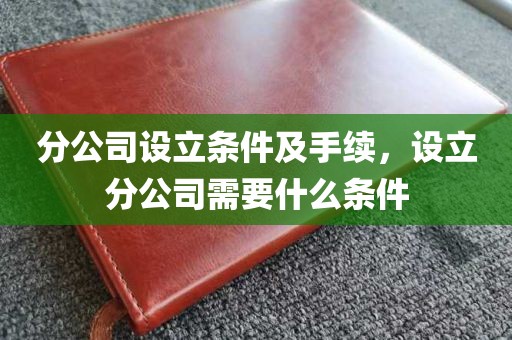 分公司设立条件及手续，设立分公司需要什么条件