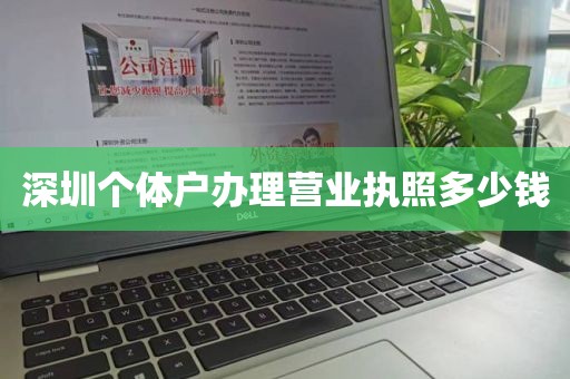 深圳个体户办理营业执照多少钱