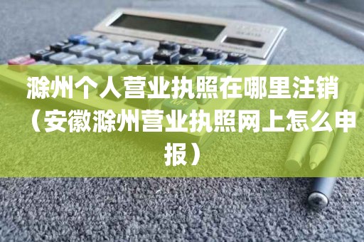 滁州个人营业执照在哪里注销（安徽滁州营业执照网上怎么申报）