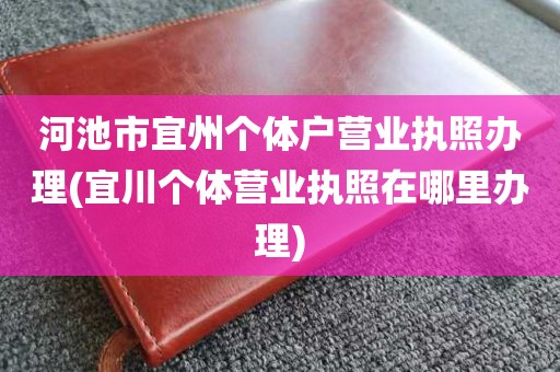 河池市宜州个体户营业执照办理(宜川个体营业执照在哪里办理)