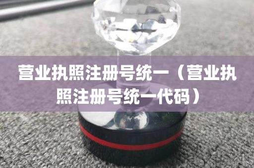 营业执照注册号统一（营业执照注册号统一代码）