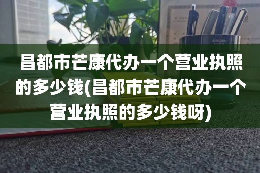 昌都市芒康代办一个营业执照的多少钱(昌都市芒康代办一个营业执照的多少钱呀)