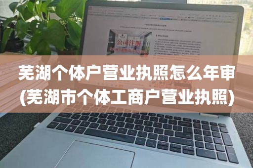 芜湖个体户营业执照怎么年审(芜湖市个体工商户营业执照)