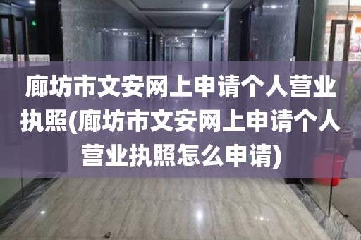 廊坊市文安网上申请个人营业执照(廊坊市文安网上申请个人营业执照怎么申请)