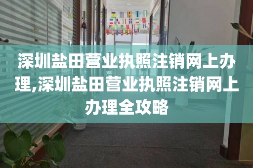 深圳盐田营业执照注销网上办理,深圳盐田营业执照注销网上办理全攻略