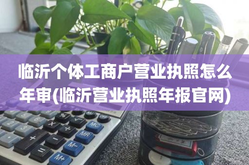 临沂个体工商户营业执照怎么年审(临沂营业执照年报官网)