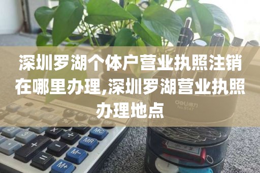 深圳罗湖个体户营业执照注销在哪里办理,深圳罗湖营业执照办理地点