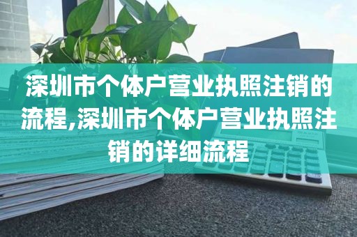 深圳市个体户营业执照注销的流程,深圳市个体户营业执照注销的详细流程
