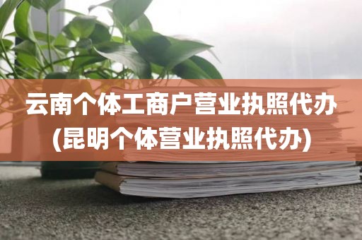 云南个体工商户营业执照代办(昆明个体营业执照代办)