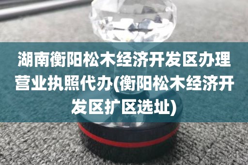 湖南衡阳松木经济开发区办理营业执照代办(衡阳松木经济开发区扩区选址)