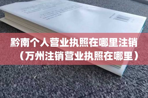 黔南个人营业执照在哪里注销（万州注销营业执照在哪里）