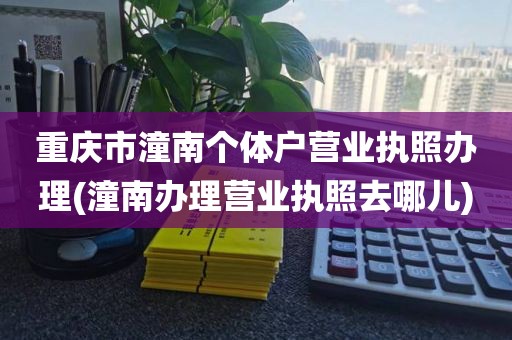 重庆市潼南个体户营业执照办理(潼南办理营业执照去哪儿)
