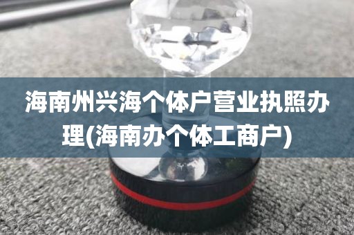海南州兴海个体户营业执照办理(海南办个体工商户)