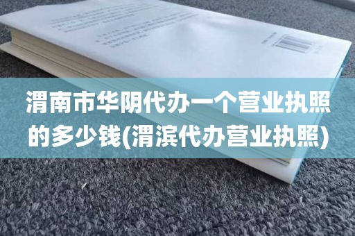 渭南市华阴代办一个营业执照的多少钱(渭滨代办营业执照)