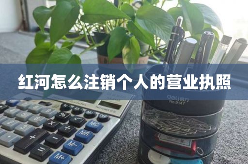 红河怎么注销个人的营业执照