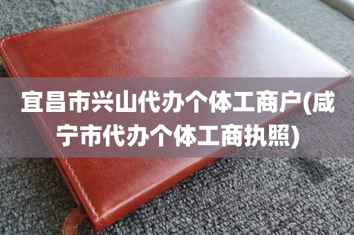 宜昌市兴山代办个体工商户(咸宁市代办个体工商执照)