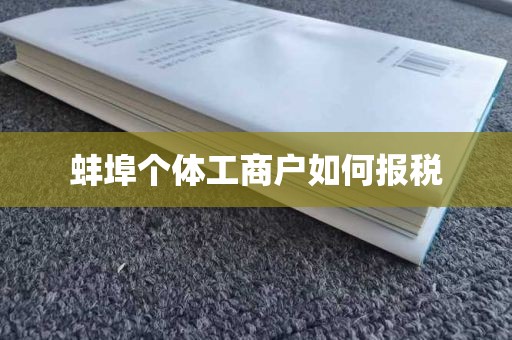 蚌埠个体工商户如何报税