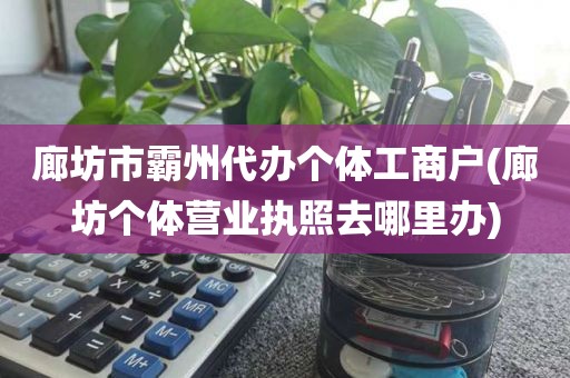 廊坊市霸州代办个体工商户(廊坊个体营业执照去哪里办)