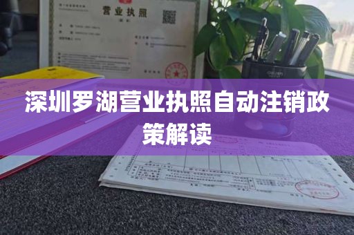 深圳罗湖营业执照自动注销政策解读