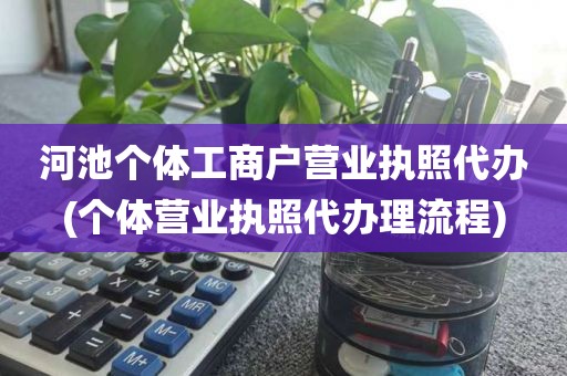 河池个体工商户营业执照代办(个体营业执照代办理流程)