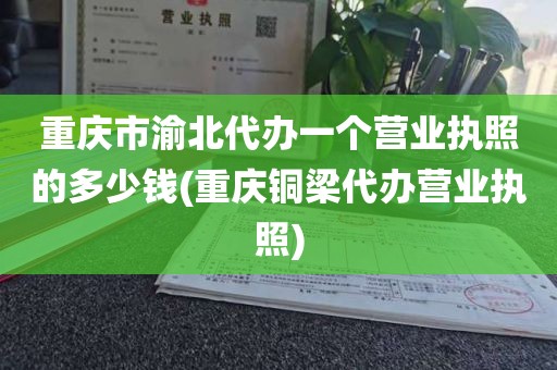 重庆市渝北代办一个营业执照的多少钱(重庆铜梁代办营业执照)