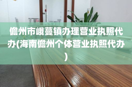 儋州市峨蔓镇办理营业执照代办(海南儋州个体营业执照代办)