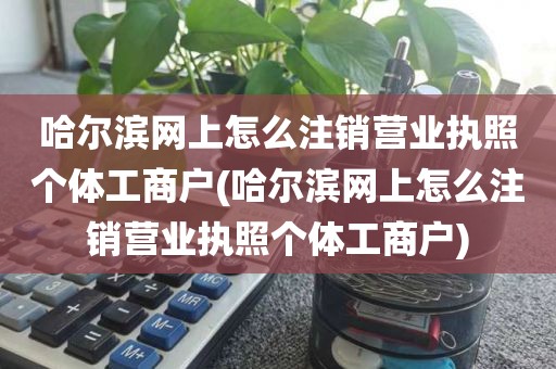 哈尔滨网上怎么注销营业执照个体工商户(哈尔滨网上怎么注销营业执照个体工商户)