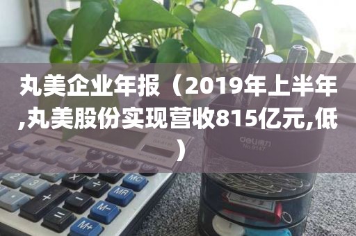 丸美企业年报（2019年上半年,丸美股份实现营收815亿元,低）