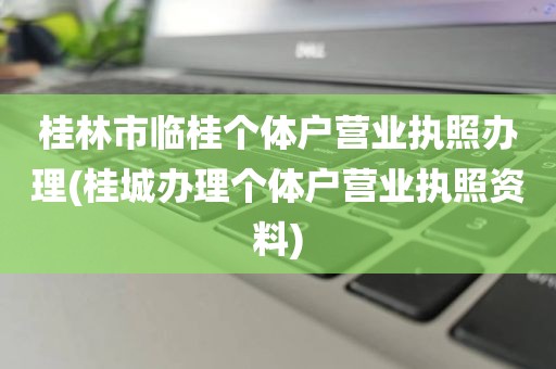 桂林市临桂个体户营业执照办理(桂城办理个体户营业执照资料)