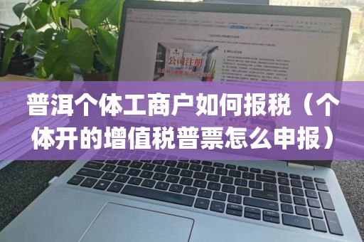 普洱个体工商户如何报税（个体开的增值税普票怎么申报）