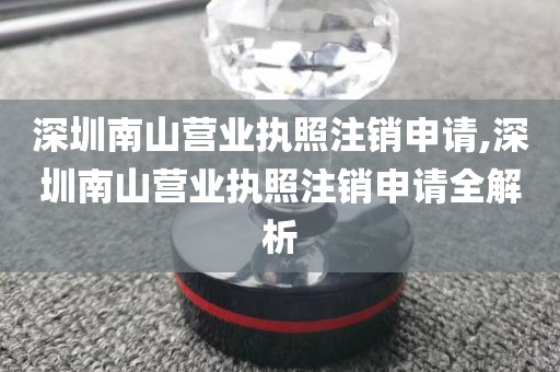 深圳南山营业执照注销申请,深圳南山营业执照注销申请全解析