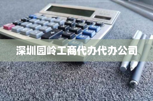 深圳园岭工商代办代办公司