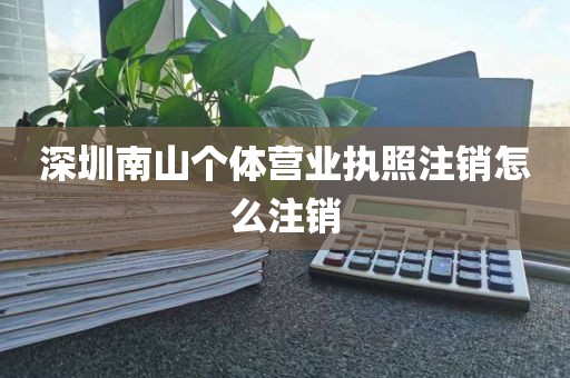 深圳南山个体营业执照注销怎么注销