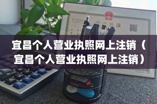 宜昌个人营业执照网上注销（宜昌个人营业执照网上注销）