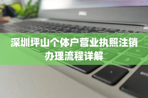 深圳坪山个体户营业执照注销办理流程详解