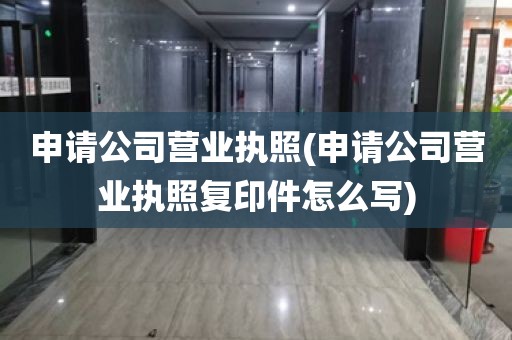 申请公司营业执照(申请公司营业执照复印件怎么写)