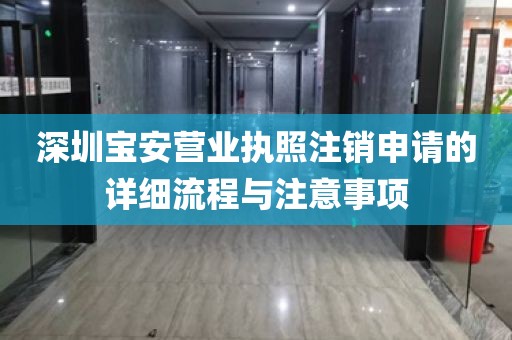 深圳宝安营业执照注销申请的详细流程与注意事项