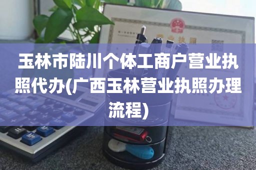 玉林市陆川个体工商户营业执照代办(广西玉林营业执照办理流程)