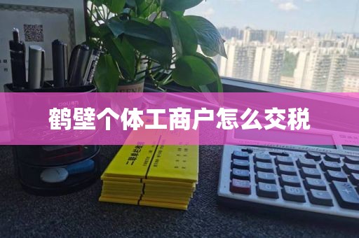 鹤壁个体工商户怎么交税