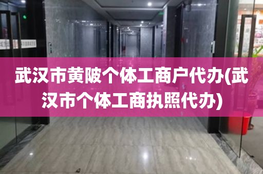 武汉市黄陂个体工商户代办(武汉市个体工商执照代办)