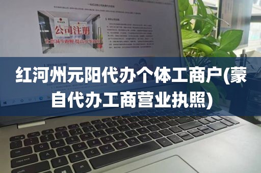 红河州元阳代办个体工商户(蒙自代办工商营业执照)