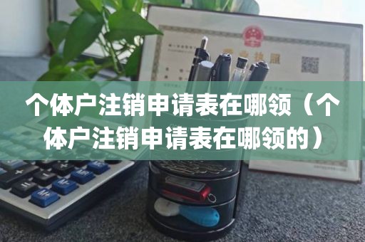 个体户注销申请表在哪领（个体户注销申请表在哪领的）